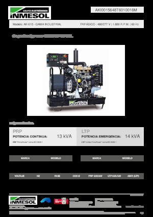 Generatoare de curent diesel INMESOL AK-015