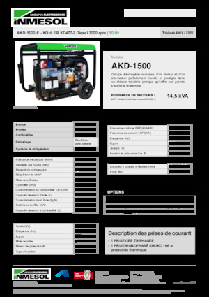 Generatoare de curent diesel INMESOL AKD-1500-E