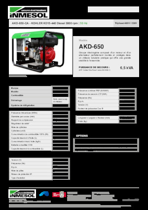 Generatoare de curent diesel INMESOL AKD-650-CA