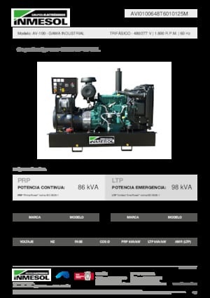Generatoare de curent diesel INMESOL AV-100