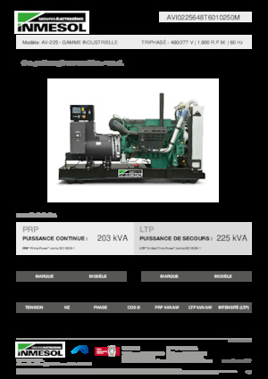 Generatoare de curent diesel INMESOL AV-225