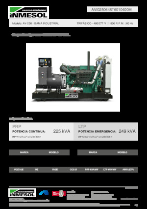 Generatoare de curent diesel INMESOL AV-250