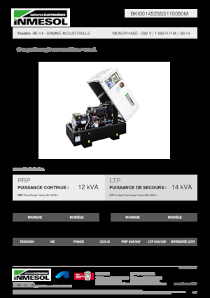 Generatoare de curent diesel INMESOL BK-14