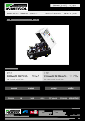 Generatoare de curent diesel INMESOL BR-010