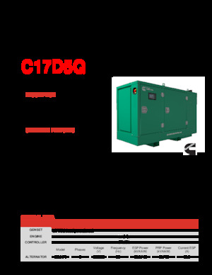 Generatoare de curent diesel Cummins C17D5Q