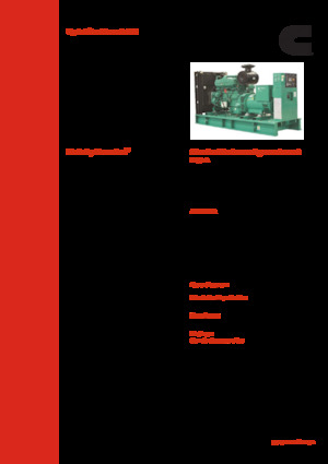 Generatoare de curent diesel Cummins C380 D5