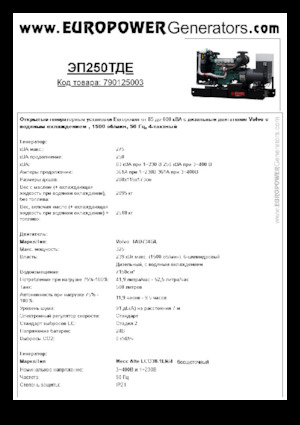 Generatoare de curent diesel Europower EP250TDE (MA)
