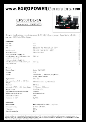 Generatoare de curent diesel Europower EP250TDE-3A (MA)