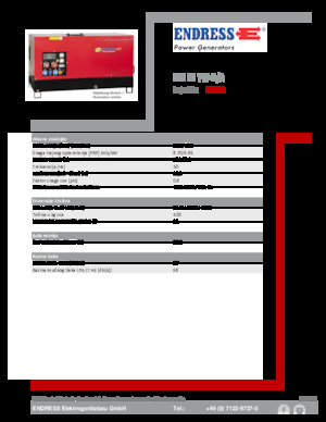 Generatoare de curent diesel Endress ESE 10 YW-B/A 