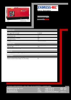 Generatoare de curent diesel Endress ESE 10 YW-B/A 
