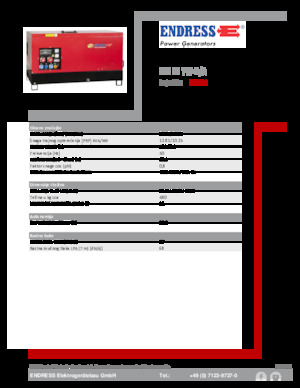 Generatoare de curent diesel Endress ESE 15 YW-B/A 