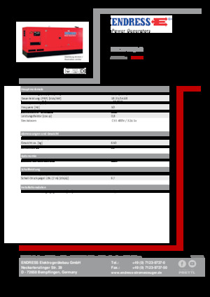Generatoare de curent diesel Endress ESE 20 YW/AS 