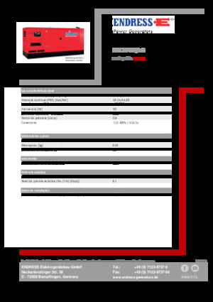 Generatoare de curent diesel Endress ESE 20 YW/AS 