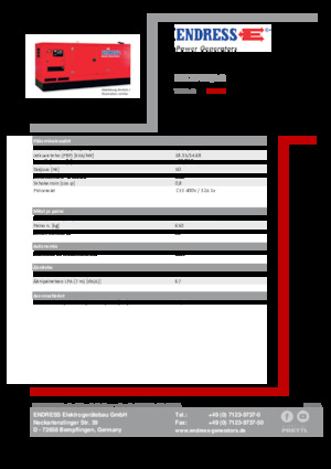 Generatoare de curent diesel Endress ESE 20 YW/AS 