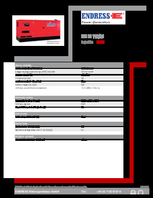 Generatoare de curent diesel Endress ESE 20 YW/AS 
