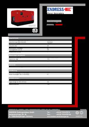 Generatoare de curent diesel Endress ESE 20 YW/MS 