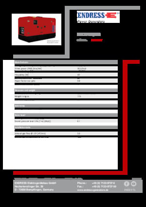 Generatoare de curent diesel Endress ESE 20 YW/MS 