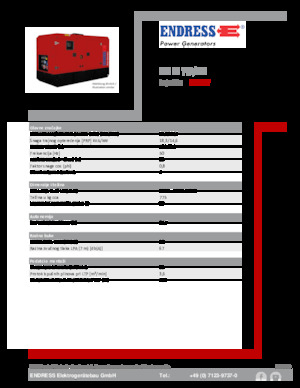 Generatoare de curent diesel Endress ESE 20 YW/MS
