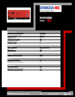Generatoare de curent diesel Endress ESE 200 PW/AS 