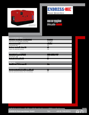 Generatoare de curent diesel Endress ESE 35 YW/MS