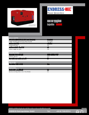 Generatoare de curent diesel Endress ESE 35 YW/MS