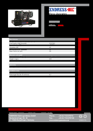 Generatoare de curent diesel Endress ESE 40 YW 
