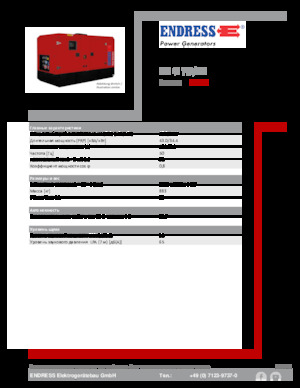 Generatoare de curent diesel Endress ESE 45 YW/MS