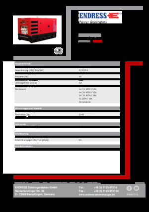 Generatoare de curent diesel Endress ESE 45 YW/RS