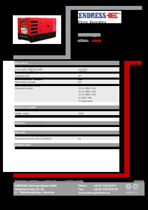 Generatoare de curent diesel Endress ESE 45 YW/RS