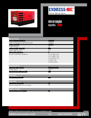 Generatoare de curent diesel Endress ESE 45 YW/RS
