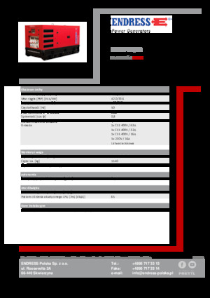 Generatoare de curent diesel Endress ESE 45 YW/RS