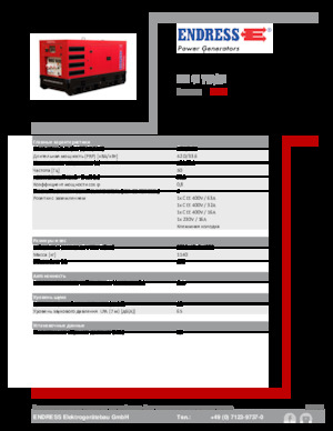 Generatoare de curent diesel Endress ESE 45 YW/RS