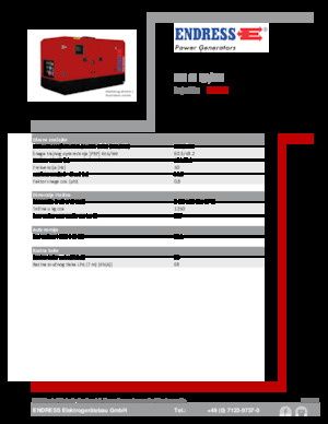 Generatoare de curent diesel Endress ESE 60 IW/MS 