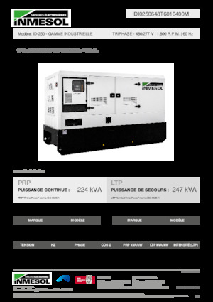 Generatoare de curent diesel INMESOL ID-250