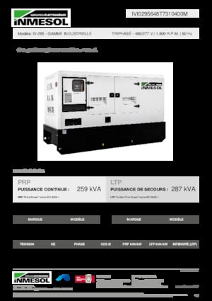 Generatoare de curent diesel INMESOL IV-295