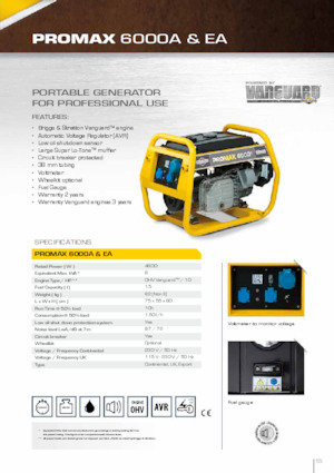 Generatoare de curent diesel Vanguard Promax 6000 A