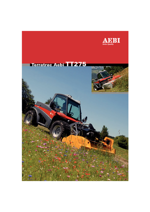 Vehicule municipale multifuncționale diesel Aebi TT 275