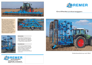 Grape cu disc-zinc Bremer GFSI 7