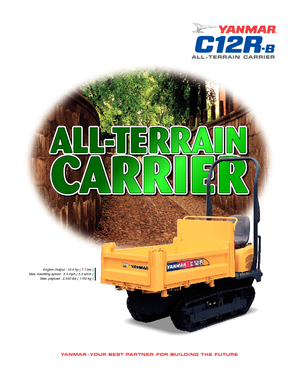 Dumpere pe Şenile Yanmar C 12 RB