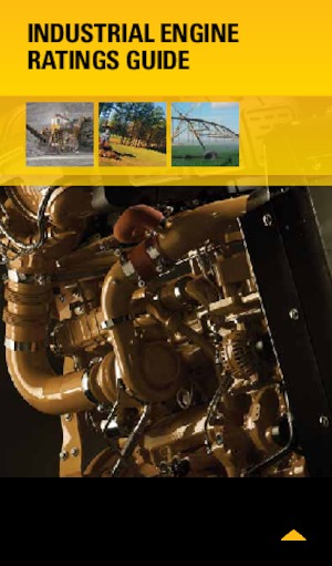 Motoare Caterpillar 3054C