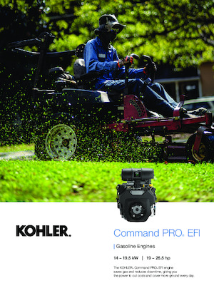 Motoare Rehlko ECH749