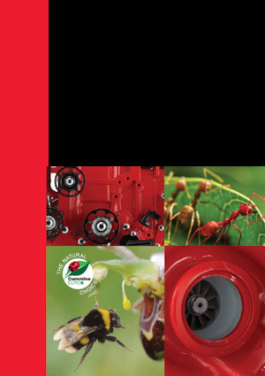 Motoare Cummins ISB4.5