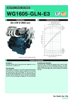 Motoare Kubota WG1605-GLN-E3