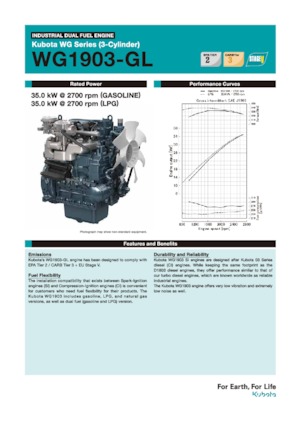 Motoare Kubota WG1903-GL