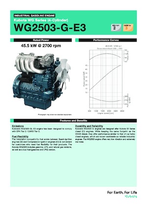 Motoare Kubota WG2503-G-E3