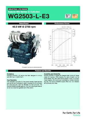 Motoare Kubota WG2503-L-E3