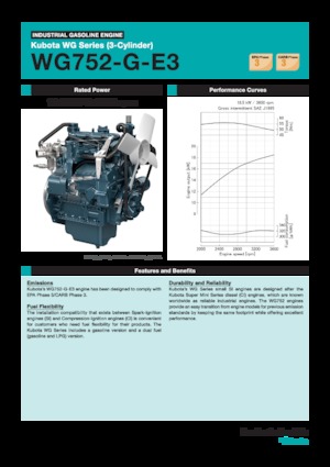 Motoare Kubota WG752-G-E3