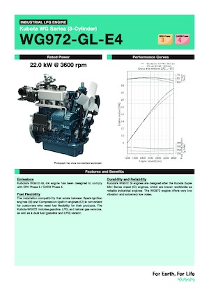 Motoare Kubota WG972-GL-E4