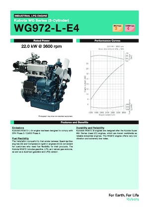 Motoare Kubota WG972-L-E4