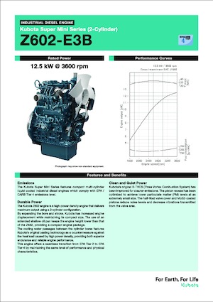 Motoare Kubota Z602-E3B